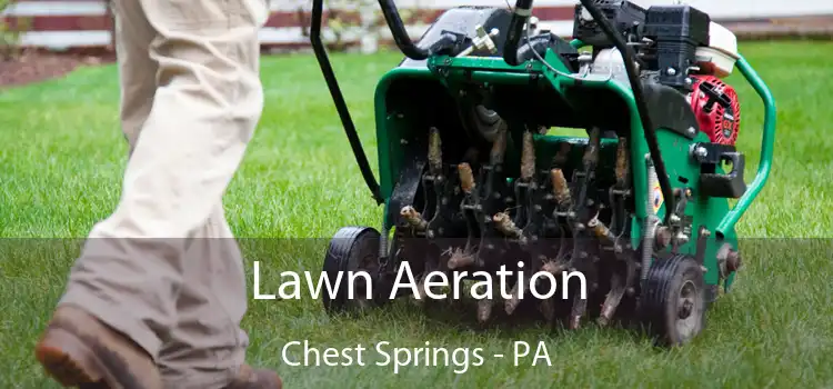  Lawn Aeration Chest Springs - PA
