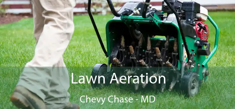 Lawn Aeration Chevy Chase - MD