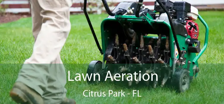 Lawn Aeration Citrus Park - FL