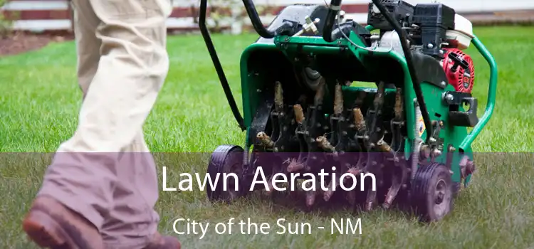Lawn Aeration City of the Sun - NM