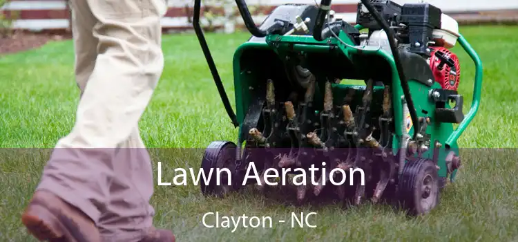  Lawn Aeration Clayton - NC