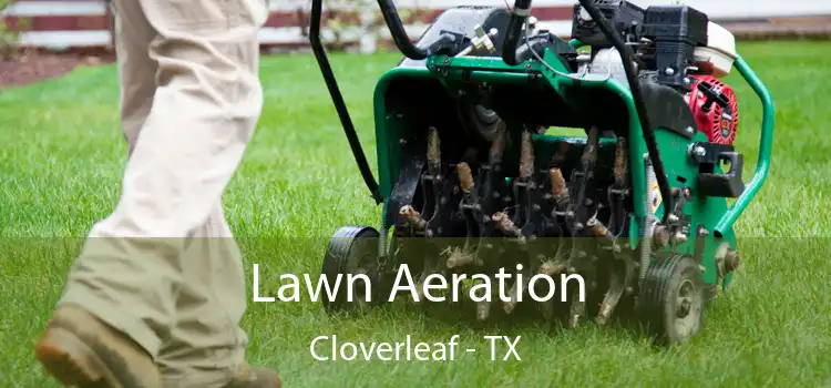 Lawn Aeration Cloverleaf - TX