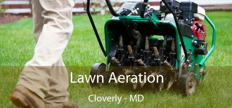 Lawn Aeration Cloverly - MD