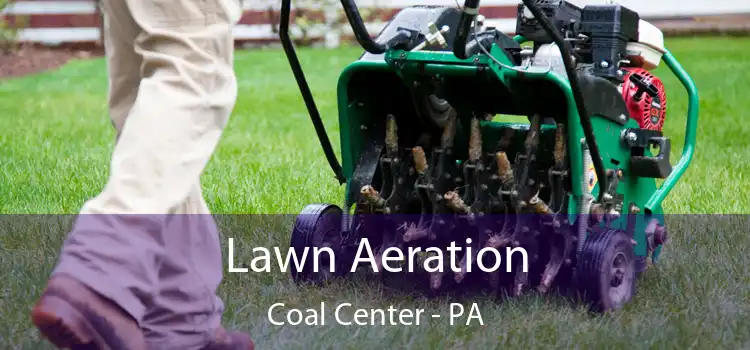  Lawn Aeration Coal Center - PA