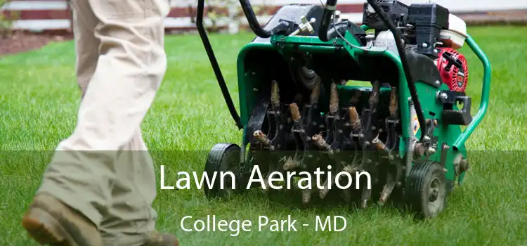 Lawn Aeration College Park - MD