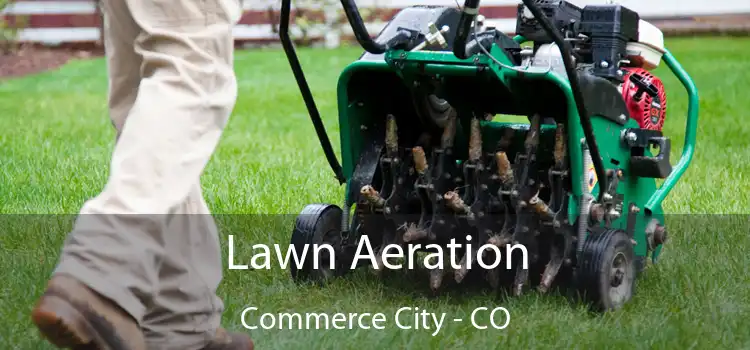 Lawn Aeration Commerce City - CO