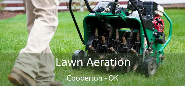 Lawn Aeration Cooperton - OK