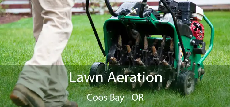 Lawn Aeration Coos Bay - OR