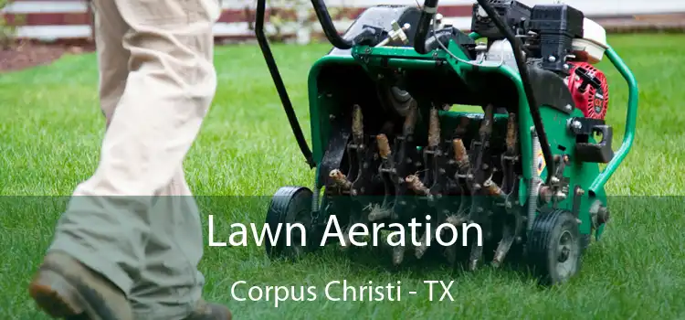 Lawn Aeration Corpus Christi - TX