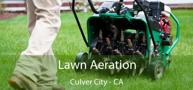  Lawn Aeration Culver City - CA