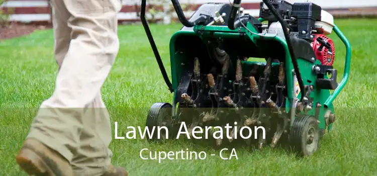 Lawn Aeration Cupertino - CA