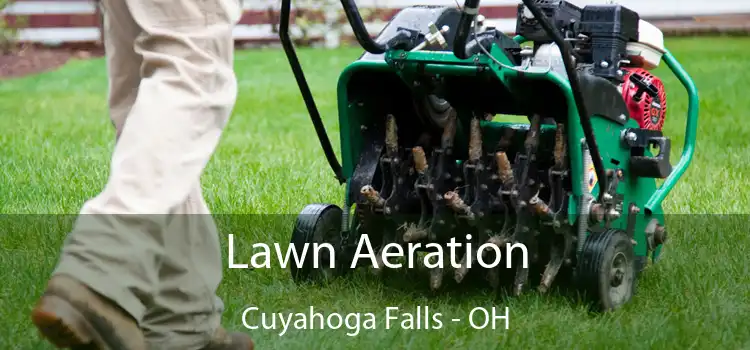 Lawn Aeration Cuyahoga Falls - OH