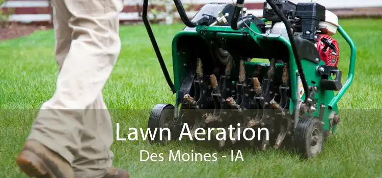 Lawn Aeration Des Moines - IA