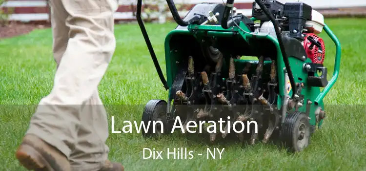 Lawn Aeration Dix Hills - NY