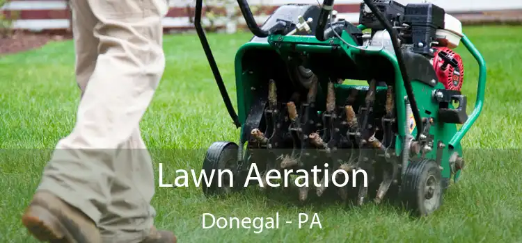 Lawn Aeration Donegal - PA