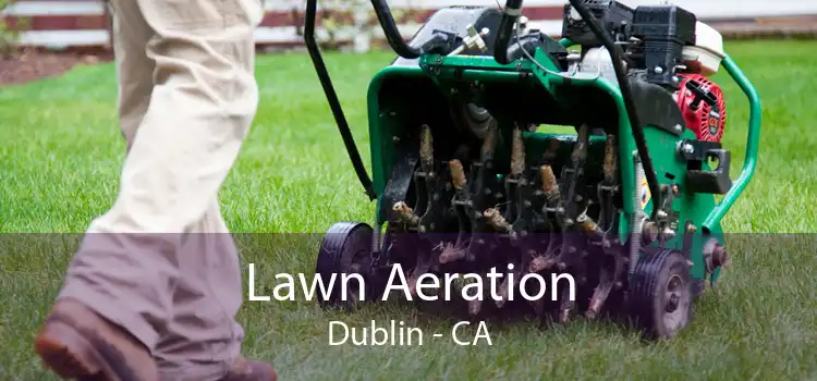 Lawn Aeration Dublin - CA
