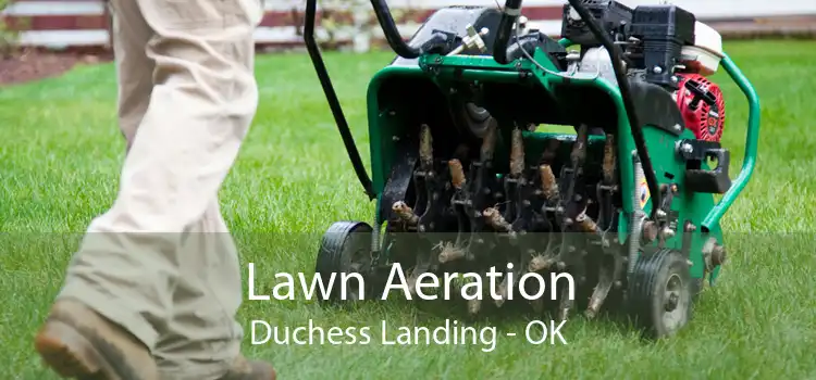 Lawn Aeration Duchess Landing - OK