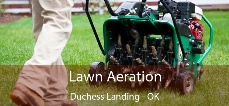 Lawn Aeration Duchess Landing - OK