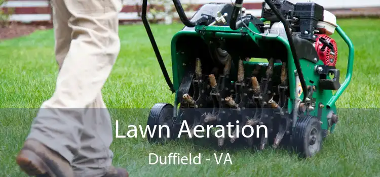 Lawn Aeration Duffield - VA