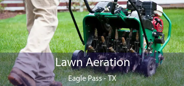 Lawn Aeration Eagle Pass - TX