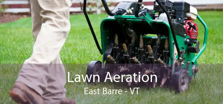Lawn Aeration East Barre - VT