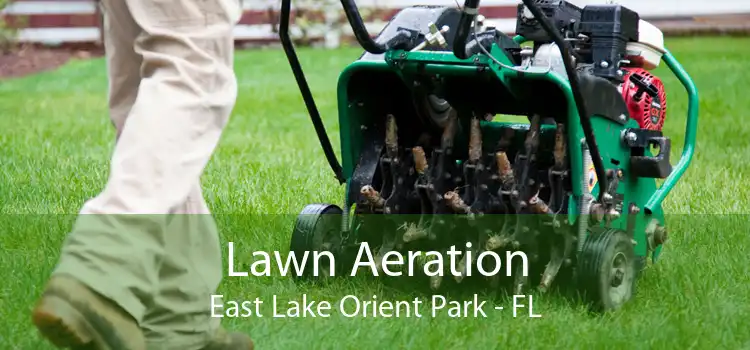Lawn Aeration East Lake Orient Park - FL