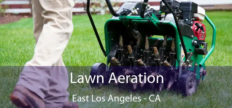 Lawn Aeration East Los Angeles - CA