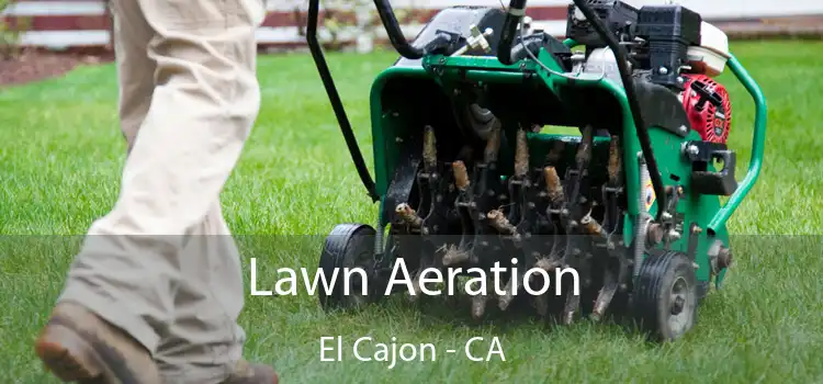  Lawn Aeration El Cajon - CA