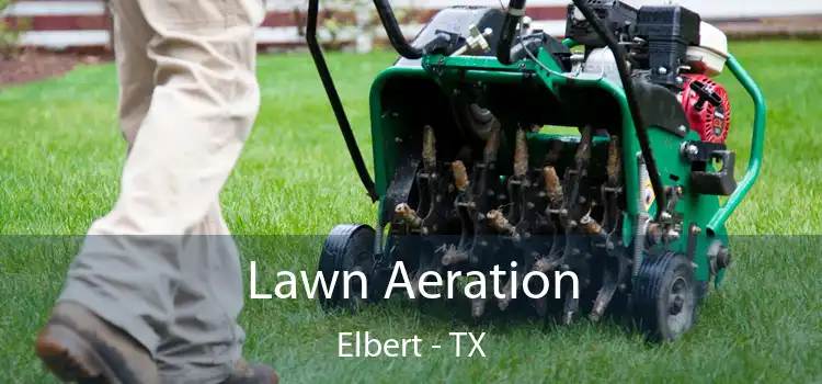 Lawn Aeration Elbert - TX