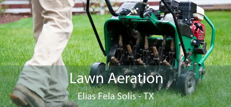 Lawn Aeration Elias Fela Solis - TX