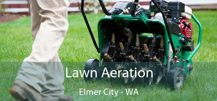Lawn Aeration Elmer City - WA