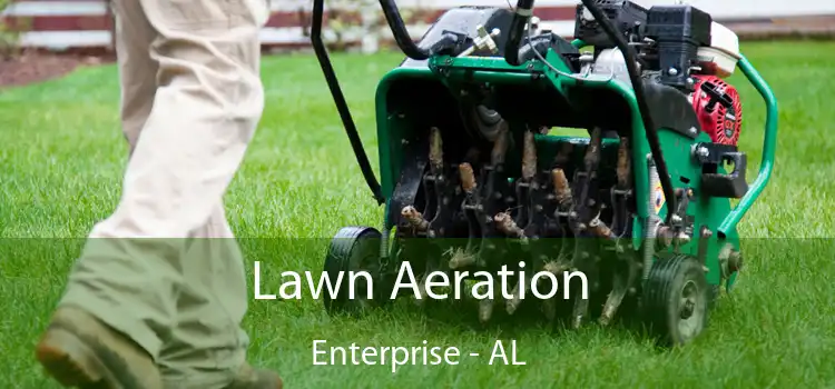  Lawn Aeration Enterprise - AL