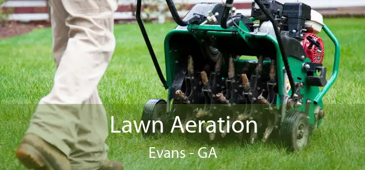 Lawn Aeration Evans - GA