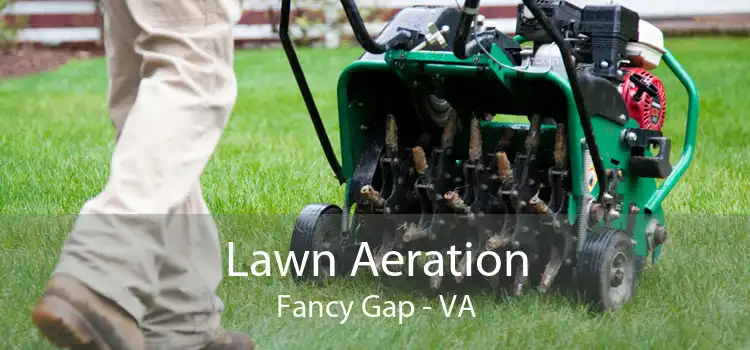 Lawn Aeration Fancy Gap - VA