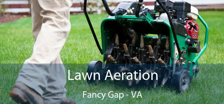 Lawn Aeration Fancy Gap - VA
