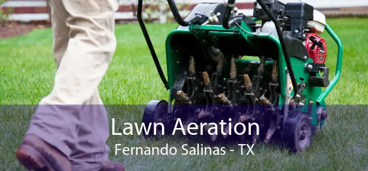 Lawn Aeration Fernando Salinas - TX