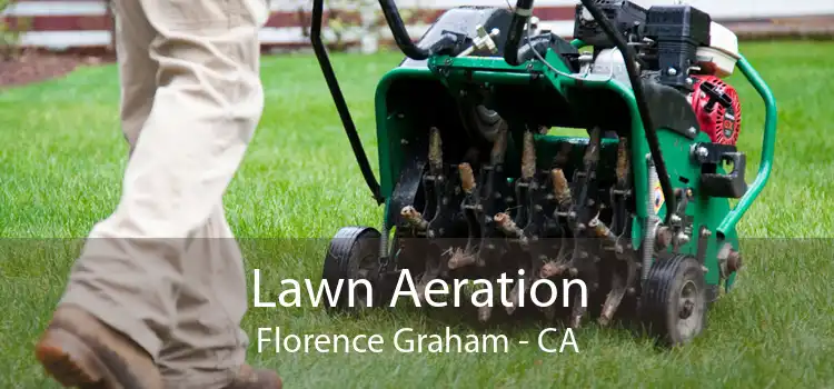 Lawn Aeration Florence Graham - CA
