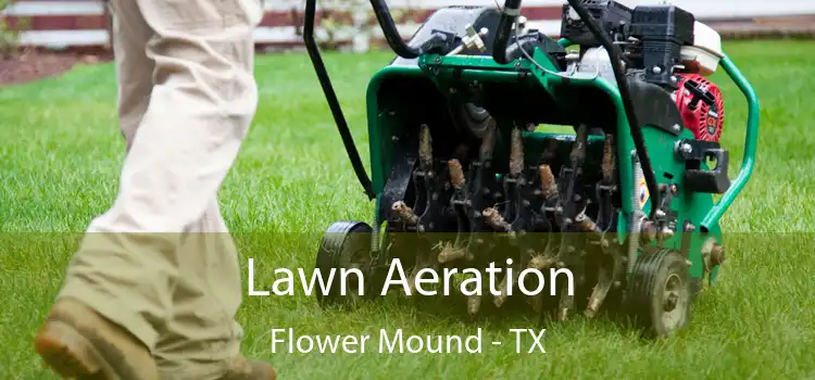 Lawn Aeration Flower Mound - TX