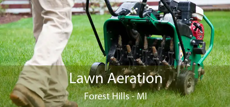 Lawn Aeration Forest Hills - MI