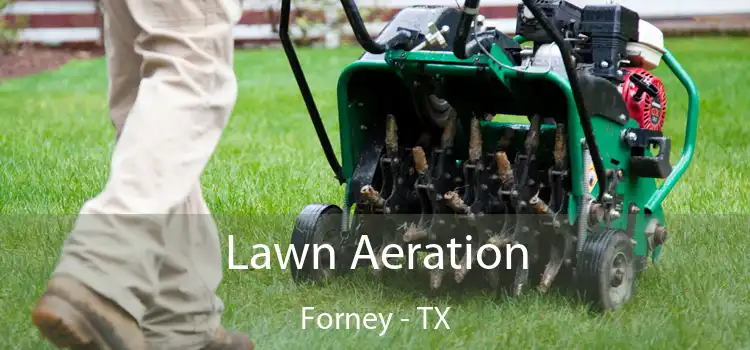 Lawn Aeration Forney - TX