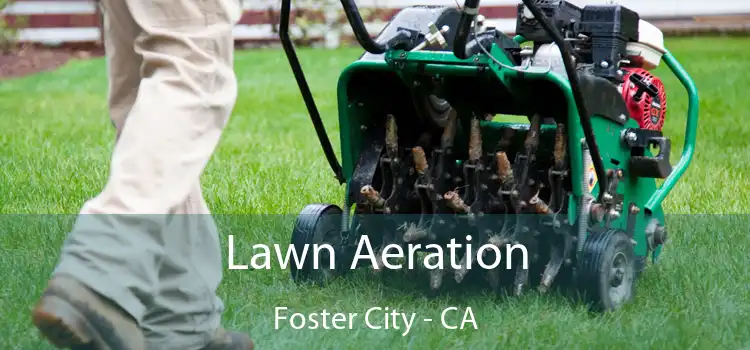 Lawn Aeration Foster City - CA