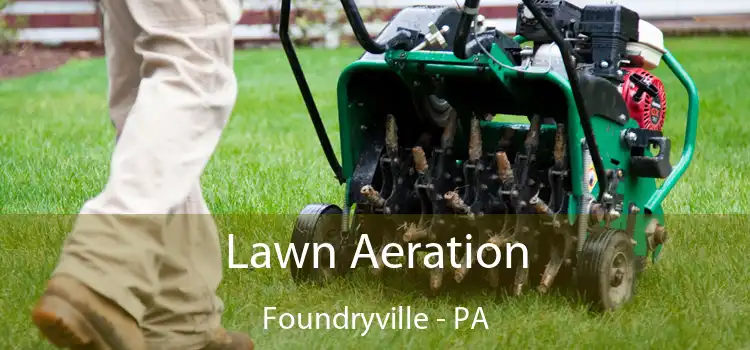  Lawn Aeration Foundryville - PA