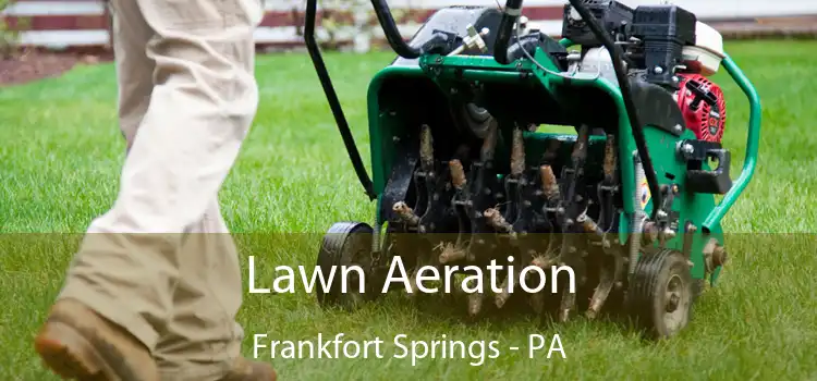 Lawn Aeration Frankfort Springs - PA