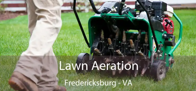 Lawn Aeration Fredericksburg - VA