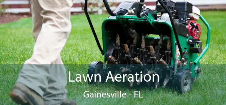 Lawn Aeration Gainesville - FL