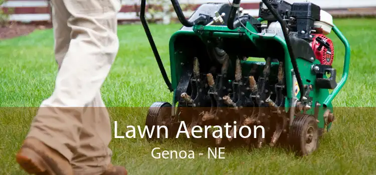 Lawn Aeration Genoa - NE