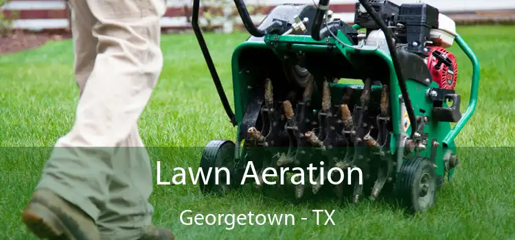  Lawn Aeration Georgetown - TX