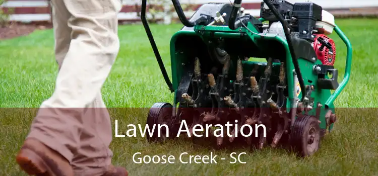 Lawn Aeration Goose Creek - SC