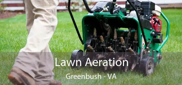 Lawn Aeration Greenbush - VA