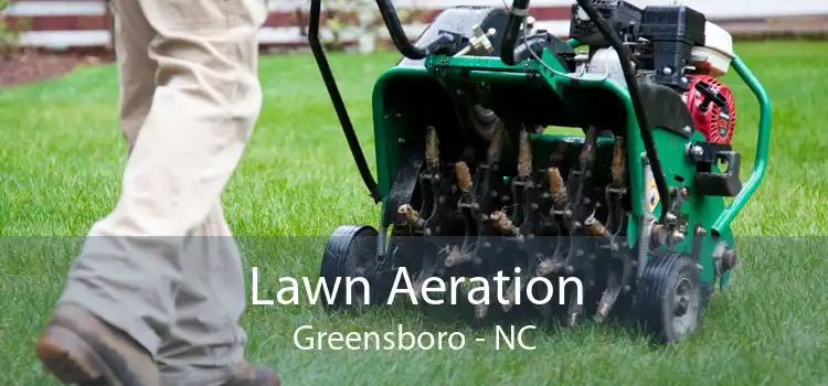 Lawn Aeration Greensboro - NC